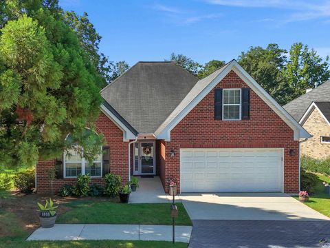 101 Pinnacle Point McDonough GA 30253