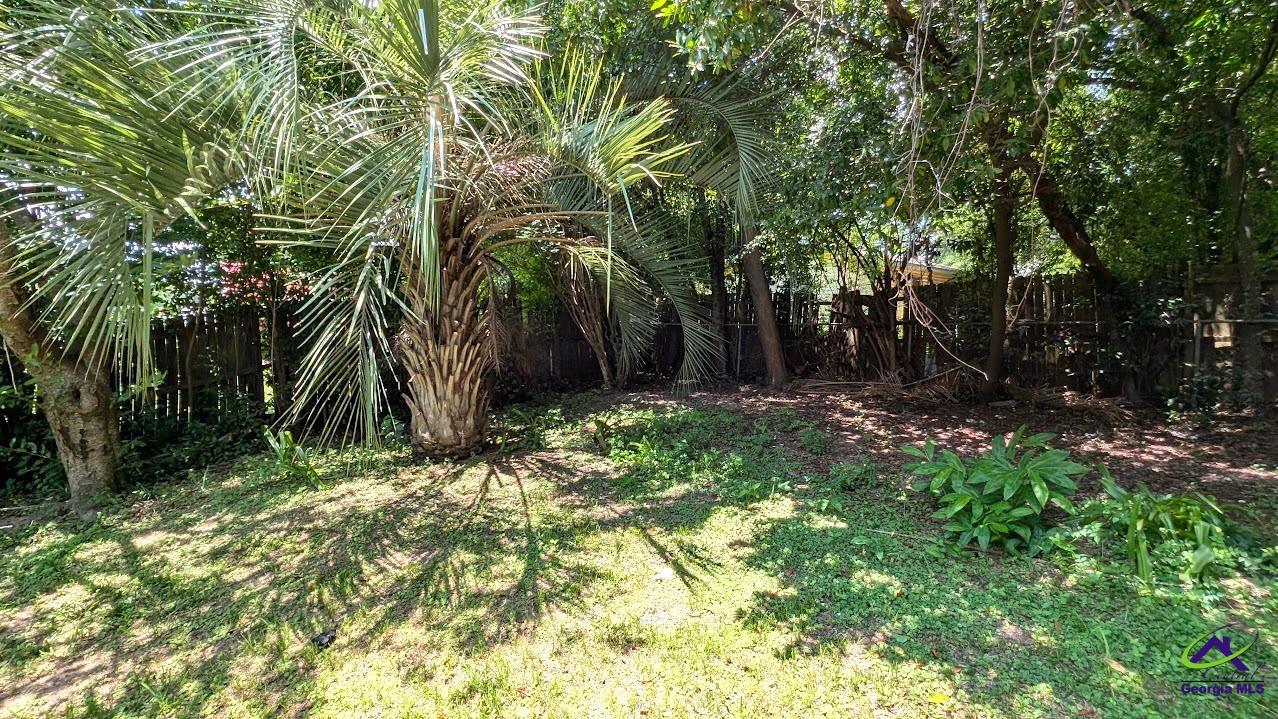 205 Debra Drive
