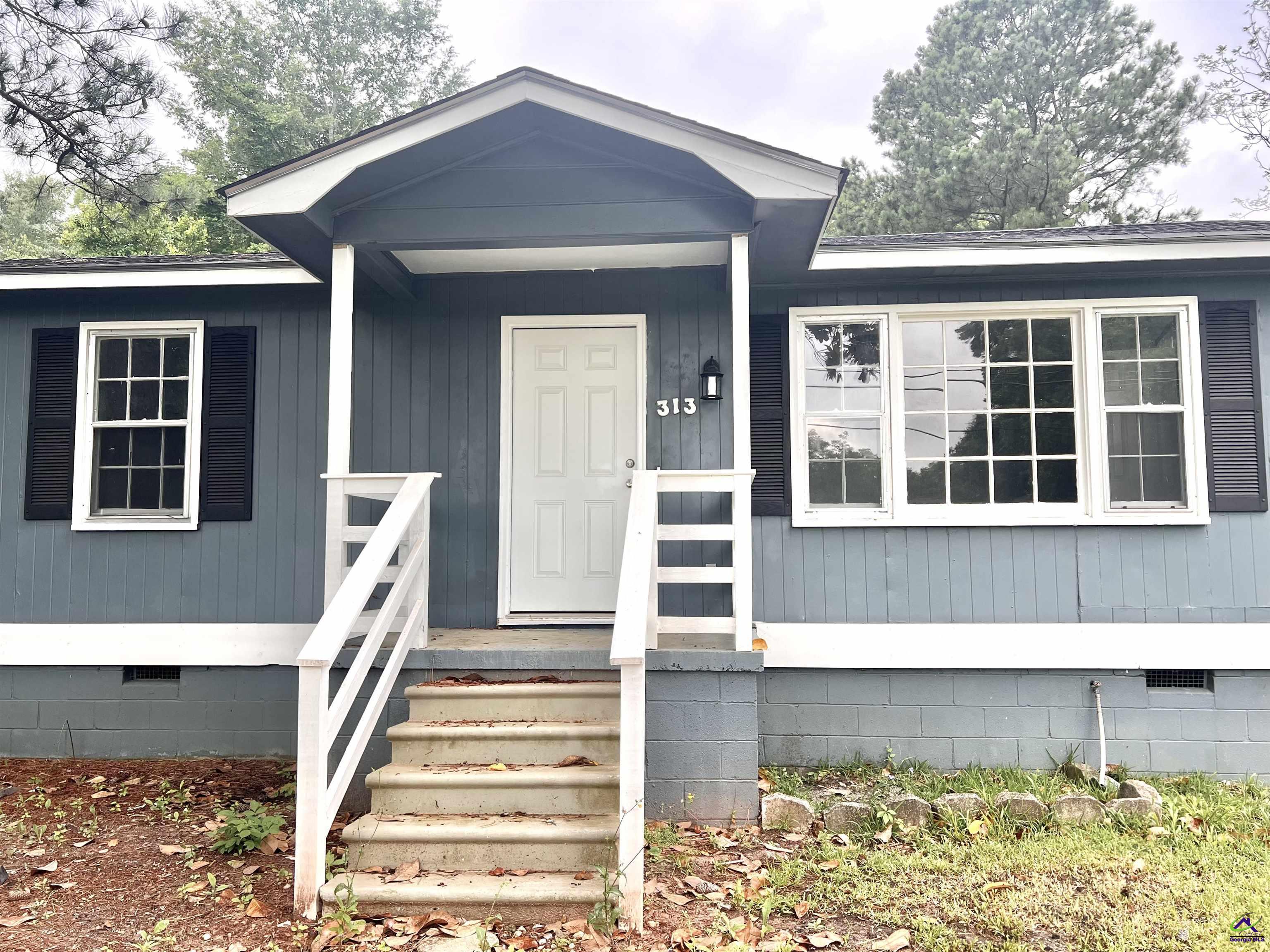 313 Vienna Street