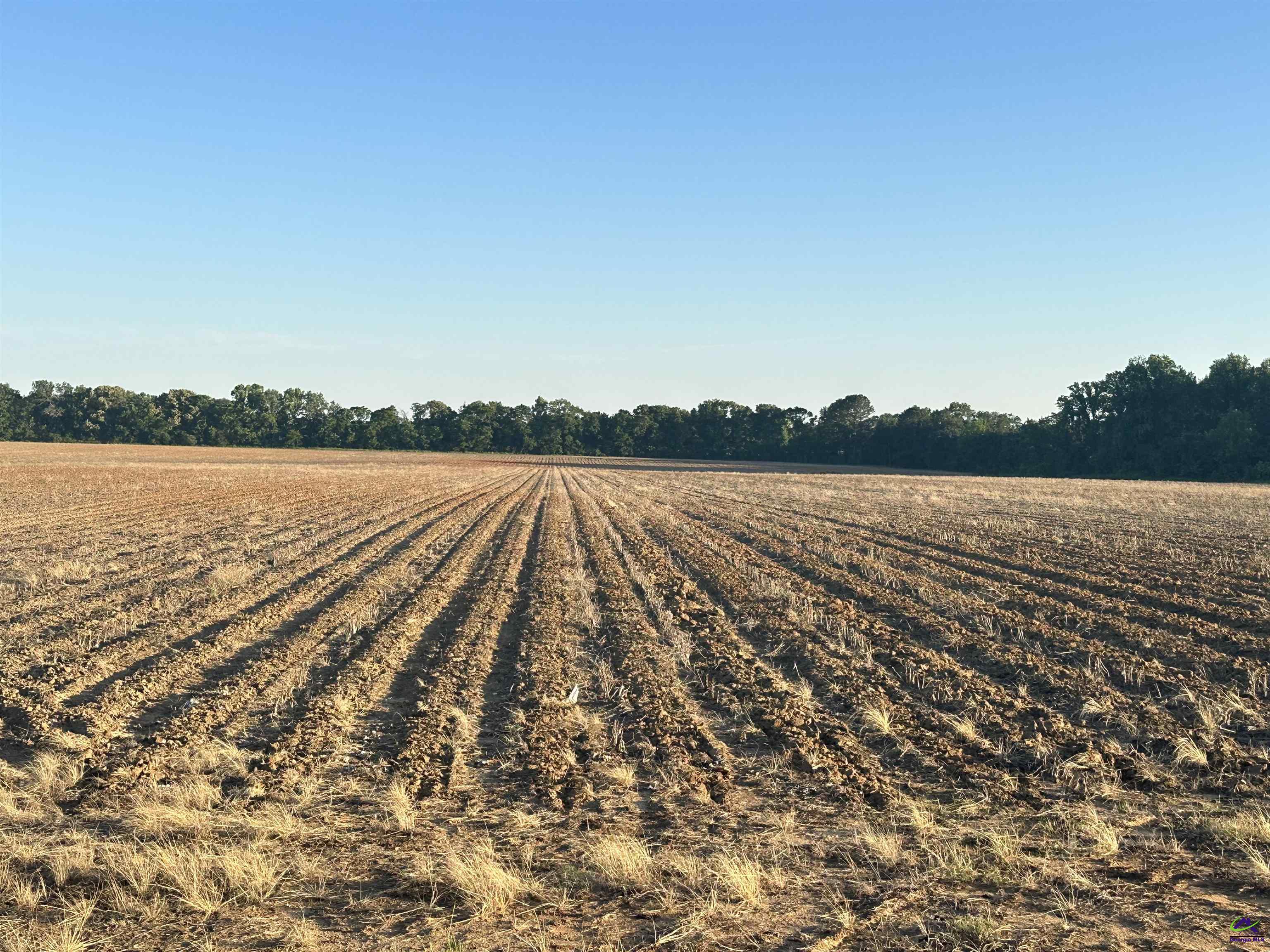 Lot# 11 (1.75 acres) Sewell Road