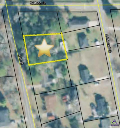 Lee Street Lot 2 Hawkinsville GA 31036