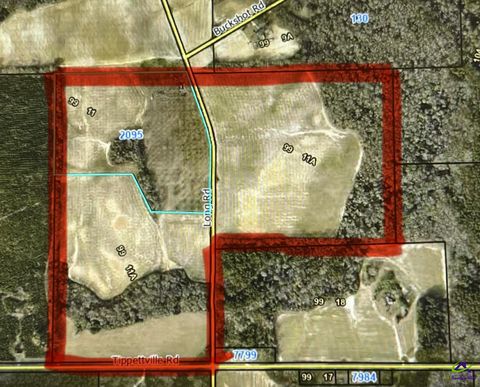 2095 Long Road Vienna GA 31092