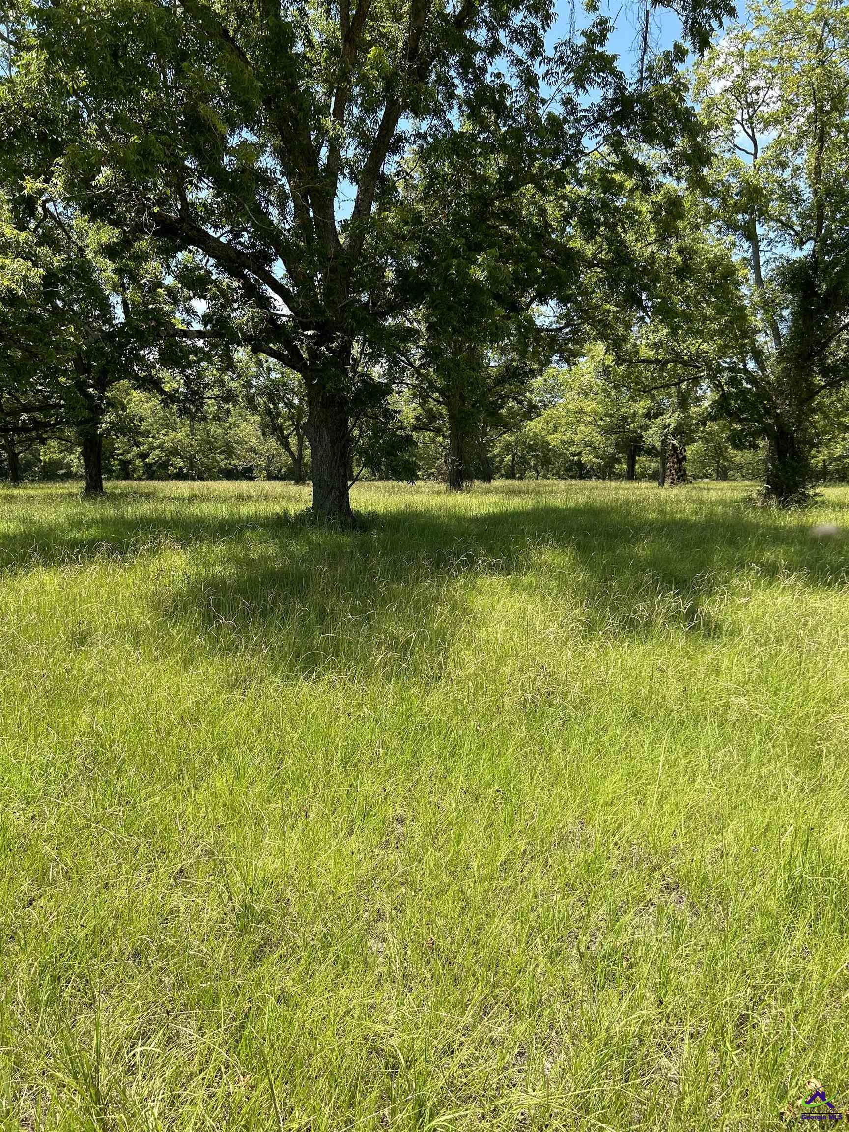 2095 Long Road