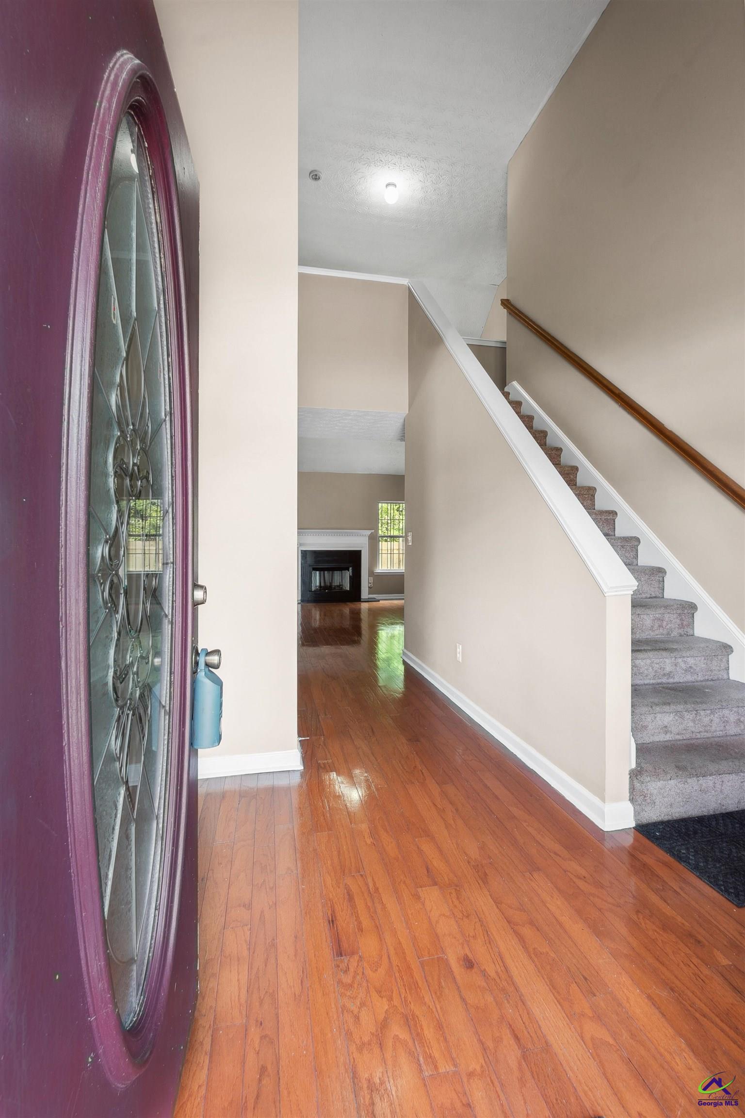 203 York Lane