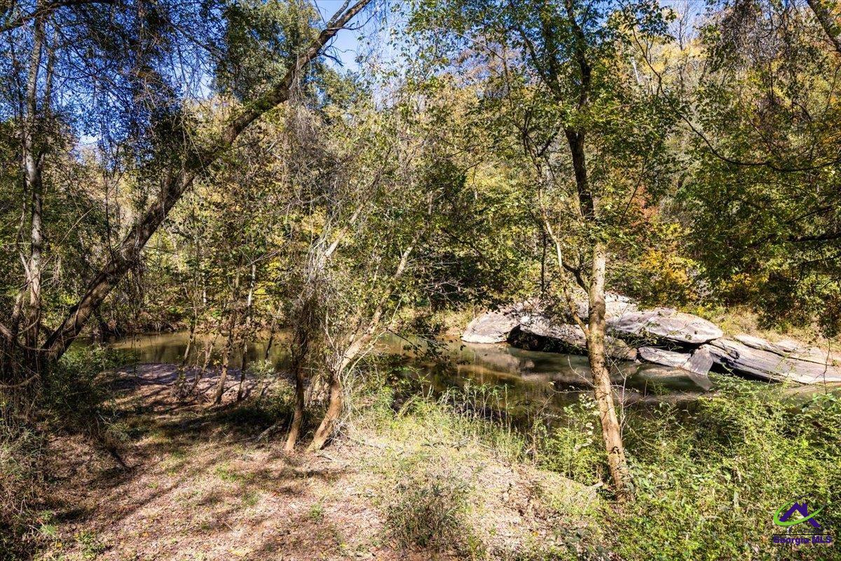 3271 N GA highway 42