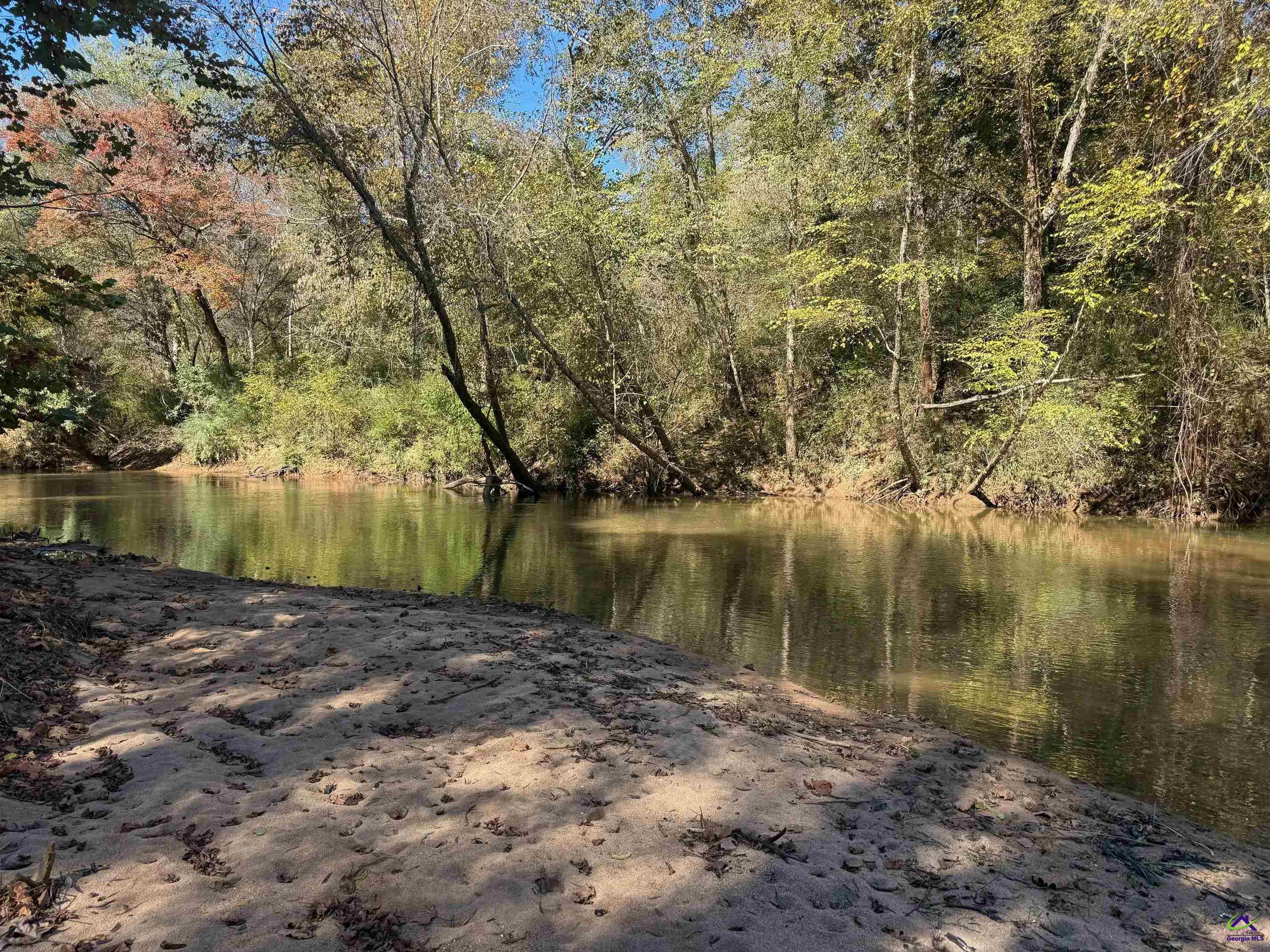 3271 GA highway 42 N