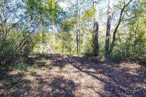 3271 N GA highway 42 Forsyth GA 31029