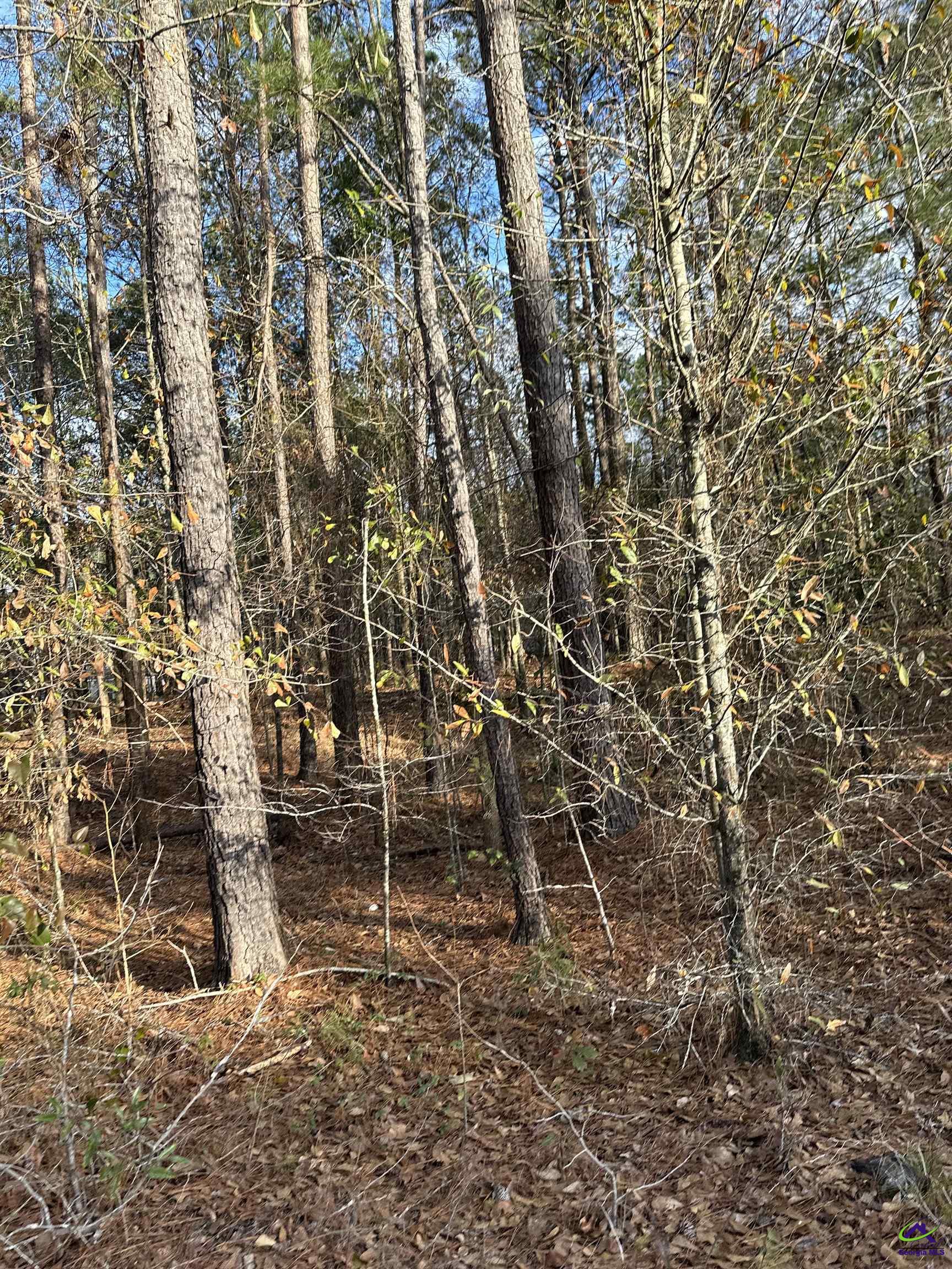 401 Short Road
