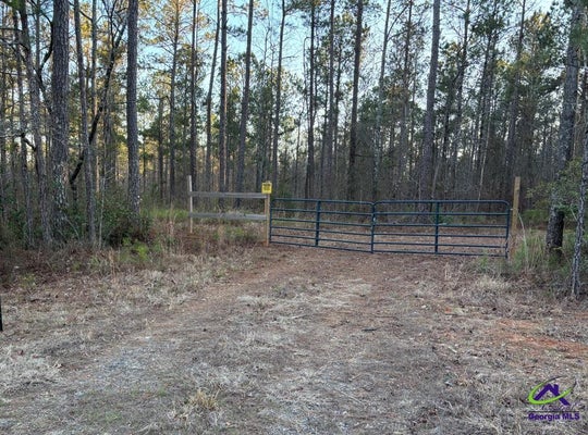1351 DIXON RD, ROBERTA, GA 31078 - Image 654feb4e6b3ac40a8102d78c8dbb7334/1268876181