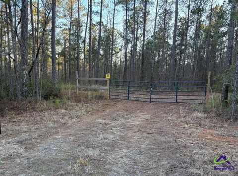 1351 Dixon Road Roberta GA 31078