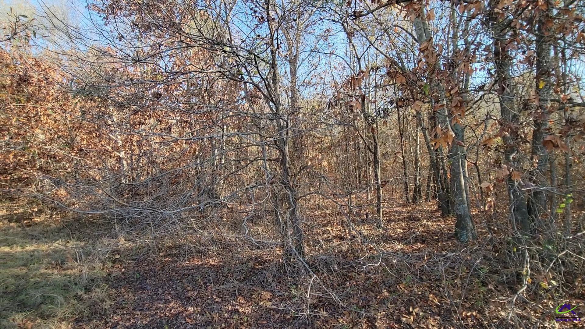 Tract 18 Williams Circle