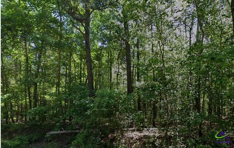 0 Howard Road Roberta GA 31078