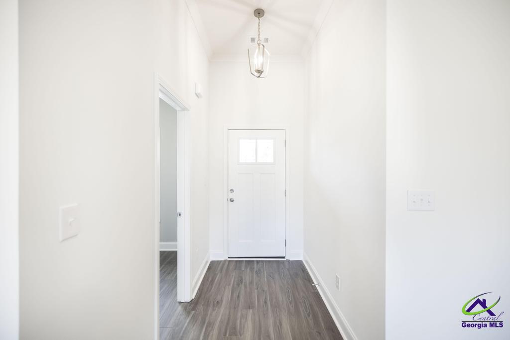 519 Bristleleaf Path