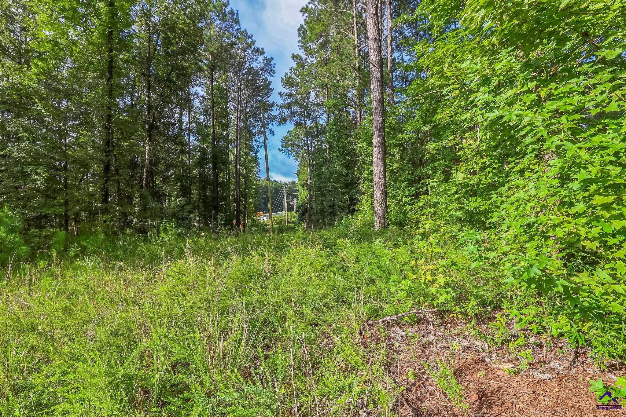 GA- 87 Highway