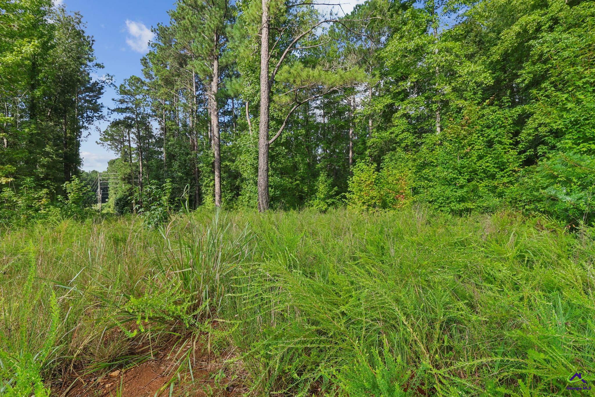 GA- 87 Highway