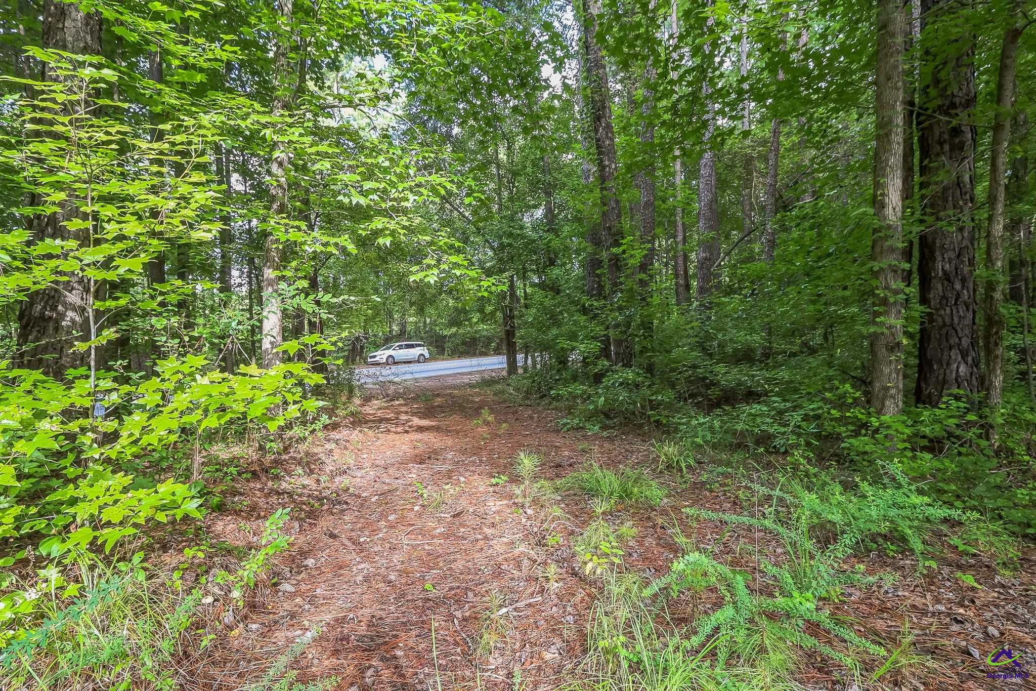 GA- 87 Highway