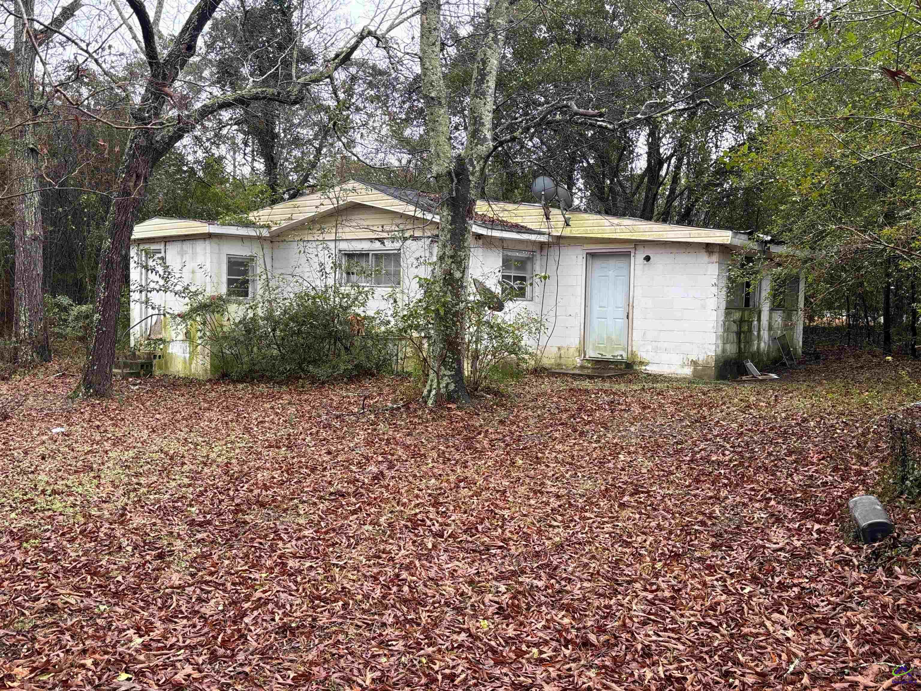 3120 Bloomfield Drive