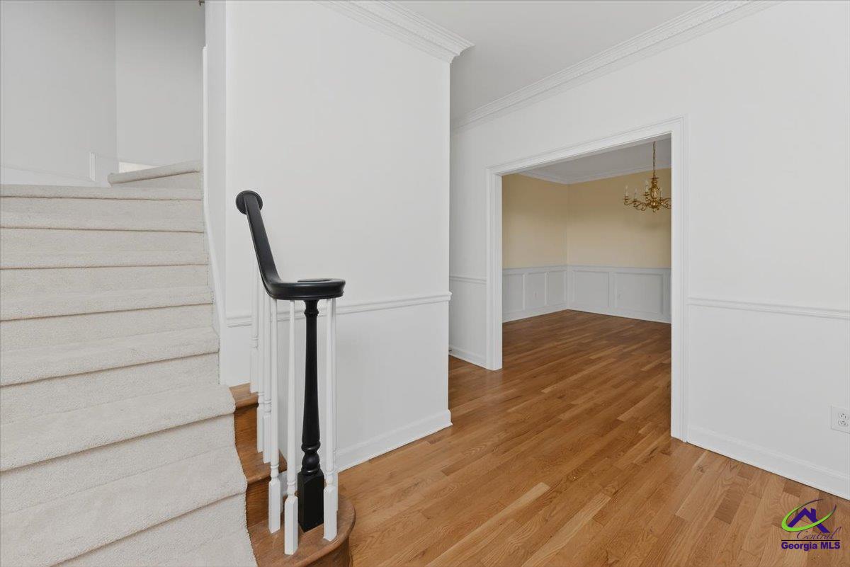 100 Trillium Terrace