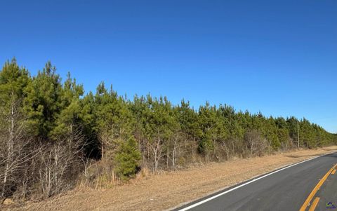 Lot 3A Whitfield Rd Elko GA 31025