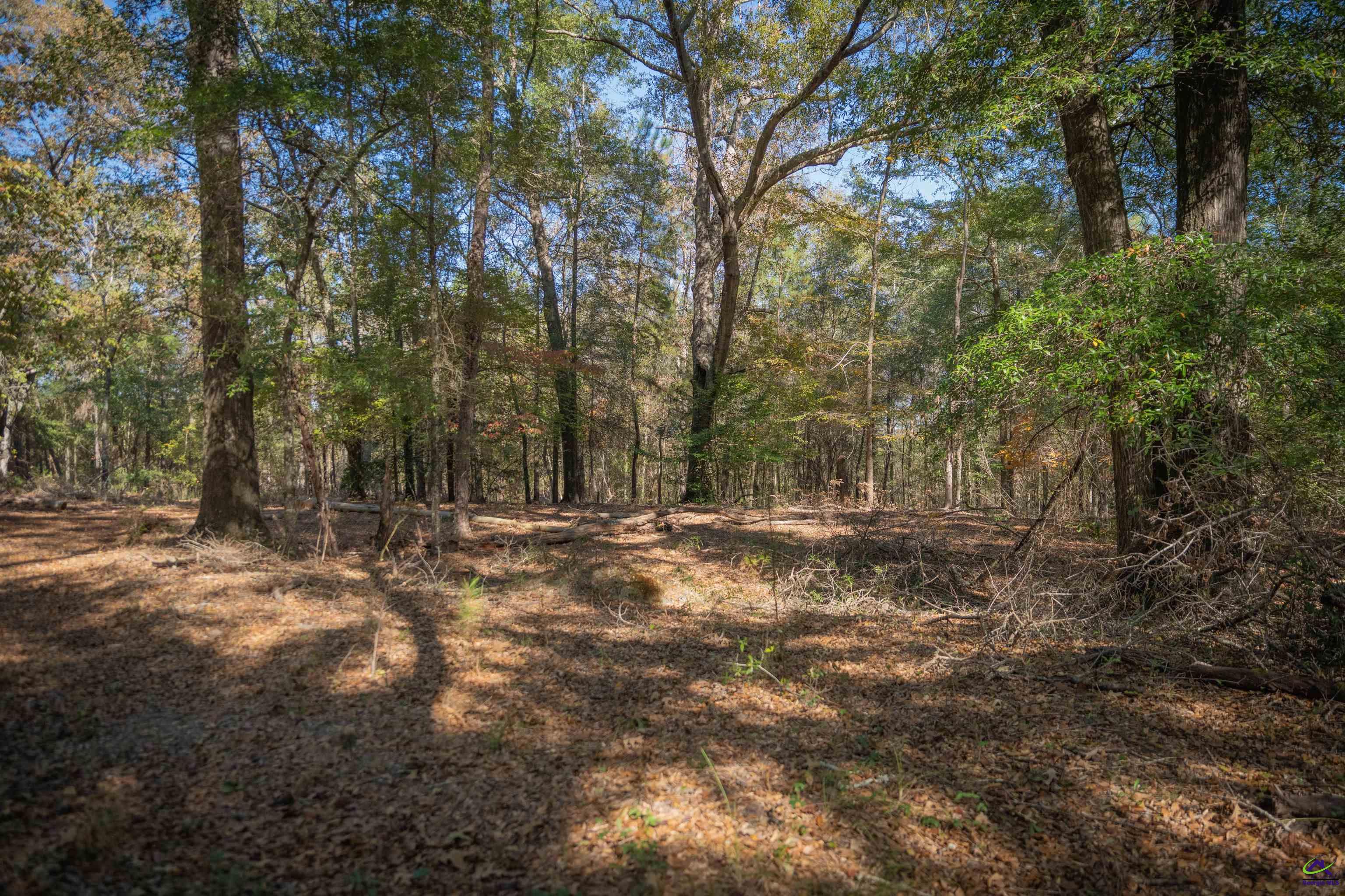 498 White Springs Church Road