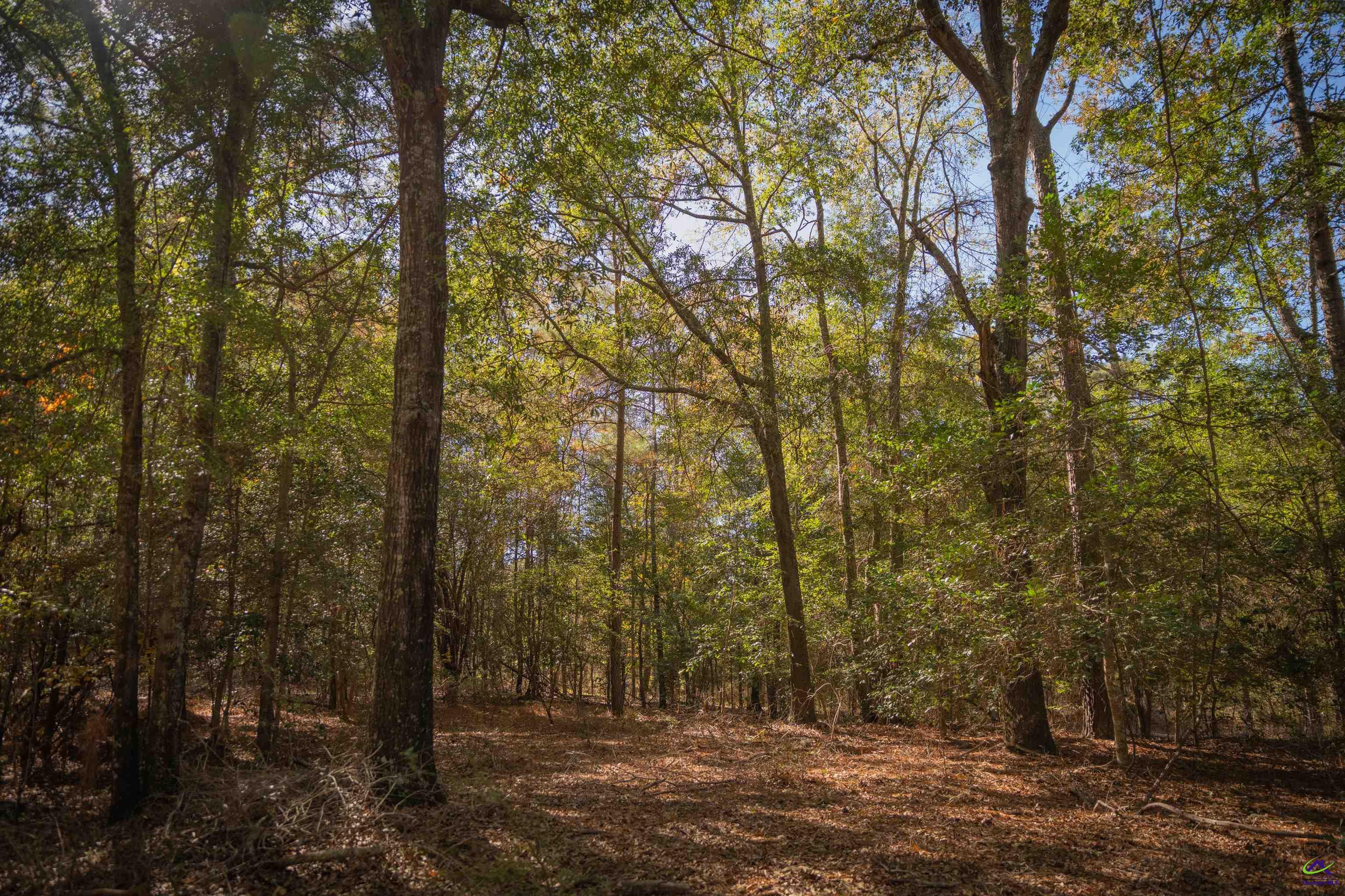 498 White Springs Church Road