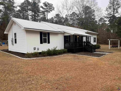 3533 S Hwy 341 Roberta GA 31078