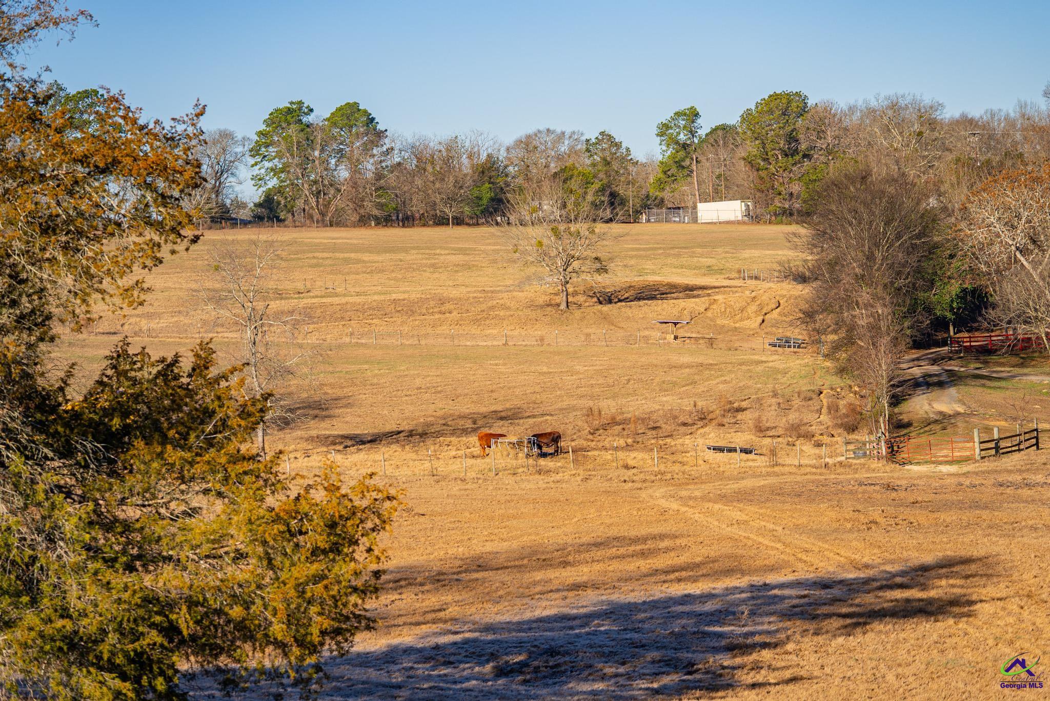 1092 Tommy Purvis Road