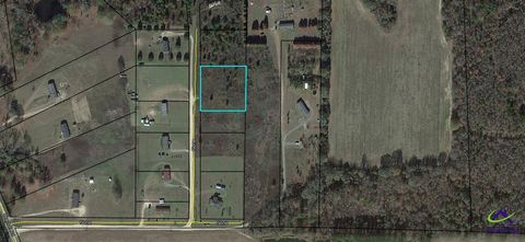 Lot 12 Sydney Lane Montezuma GA 31063