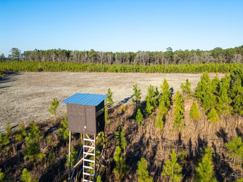 733 Chester-Cochran Highway Chester GA 31012