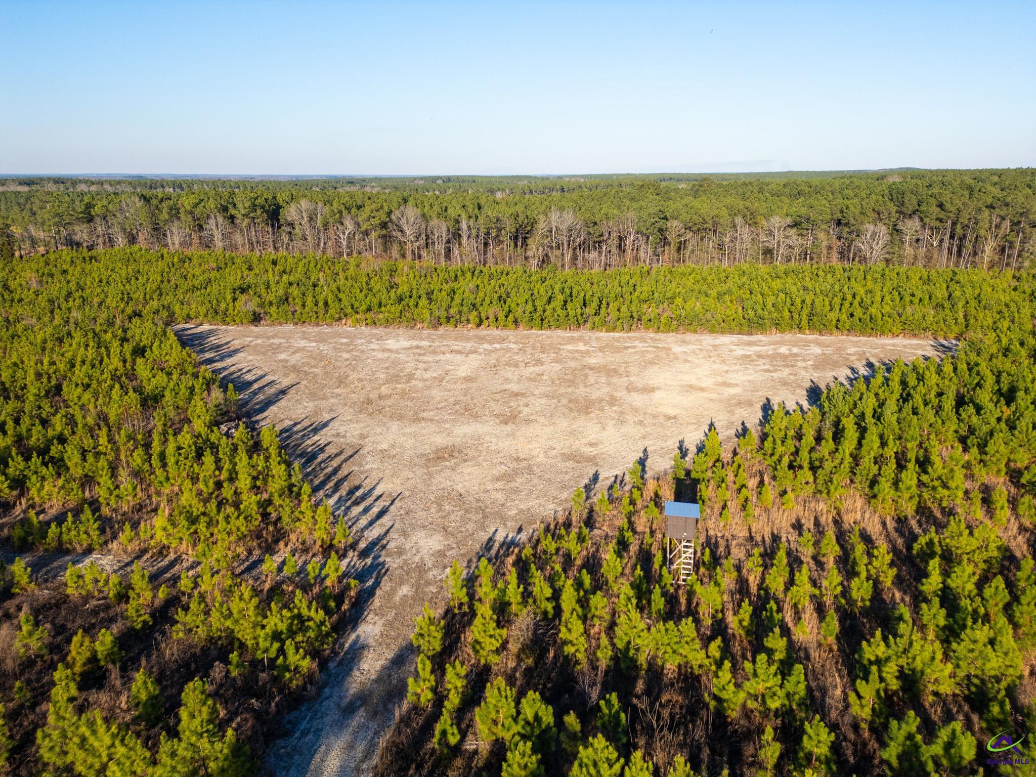 733 Chester-Cochran Highway