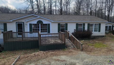 115 Sunrise Cove Clarksville GA 30523