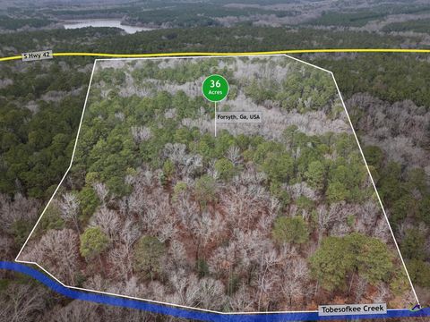 0 S 42 Highway Forsyth GA 31029