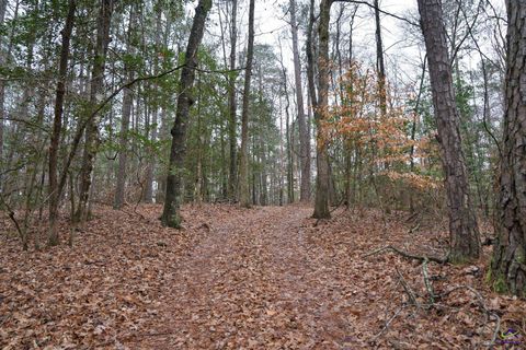 0 S 42 Highway Forsyth GA 31029