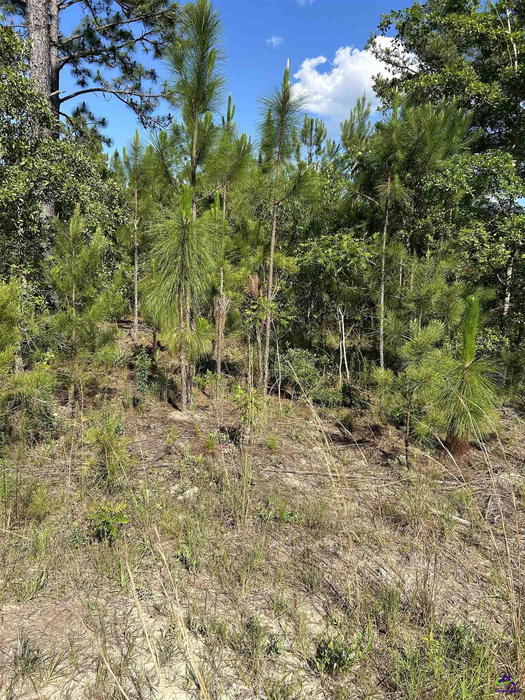 Tract C Hall Road