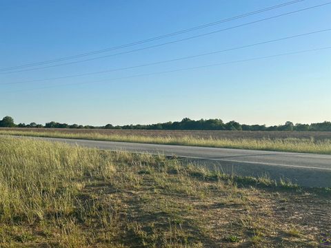 Lot# 25    2567 (15+/- acres) Elko Road Elko GA 31025