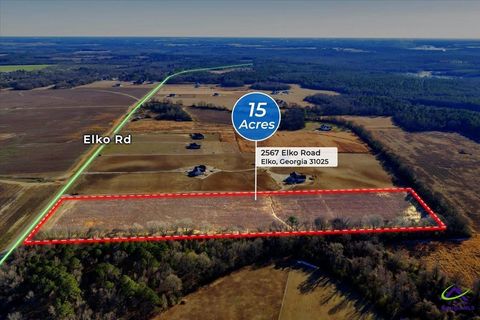 2567 Elko (15+/- acres) Road Elko GA 31025