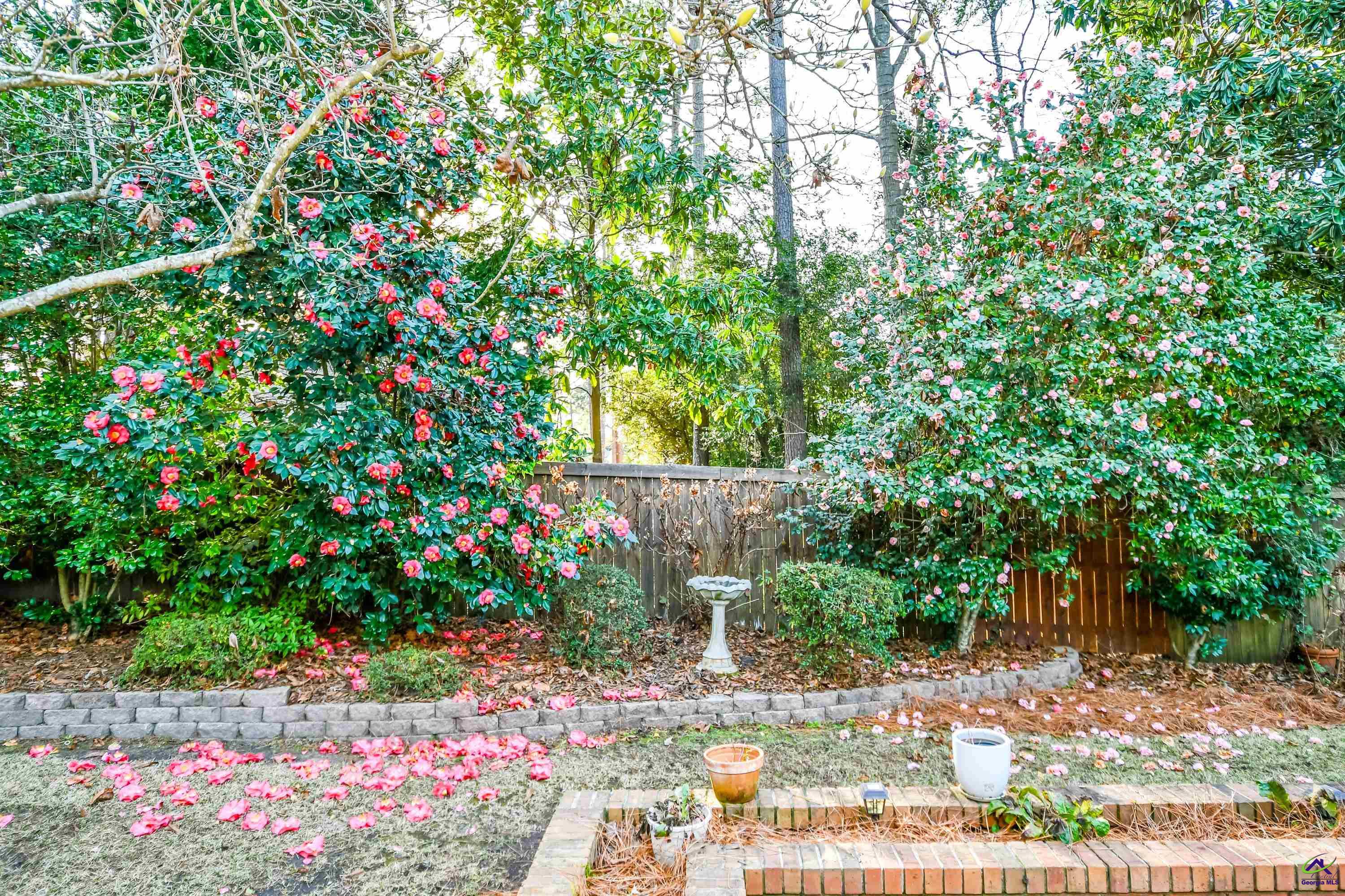 209 Lake Front Drive