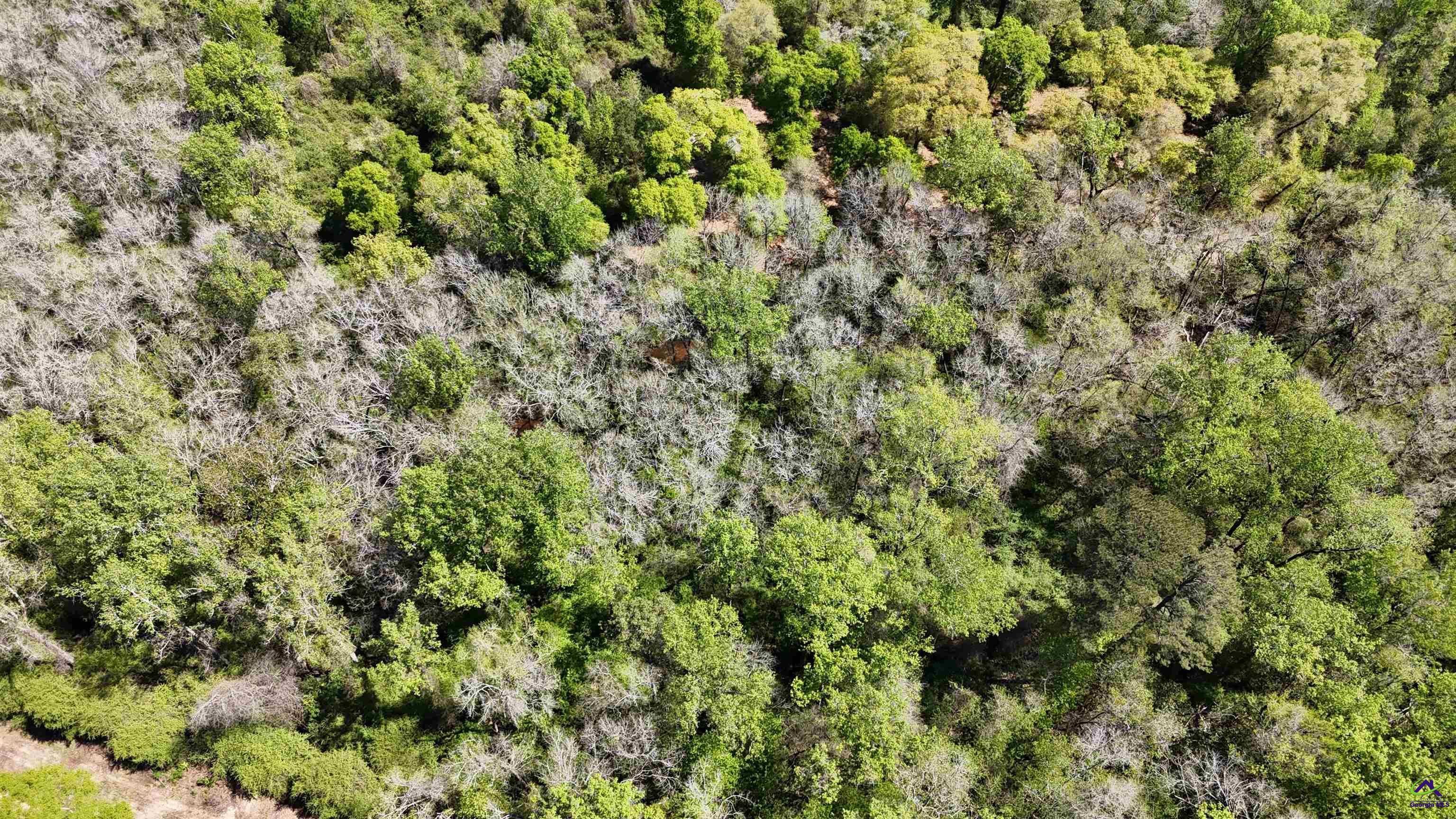 941 Country Club Road