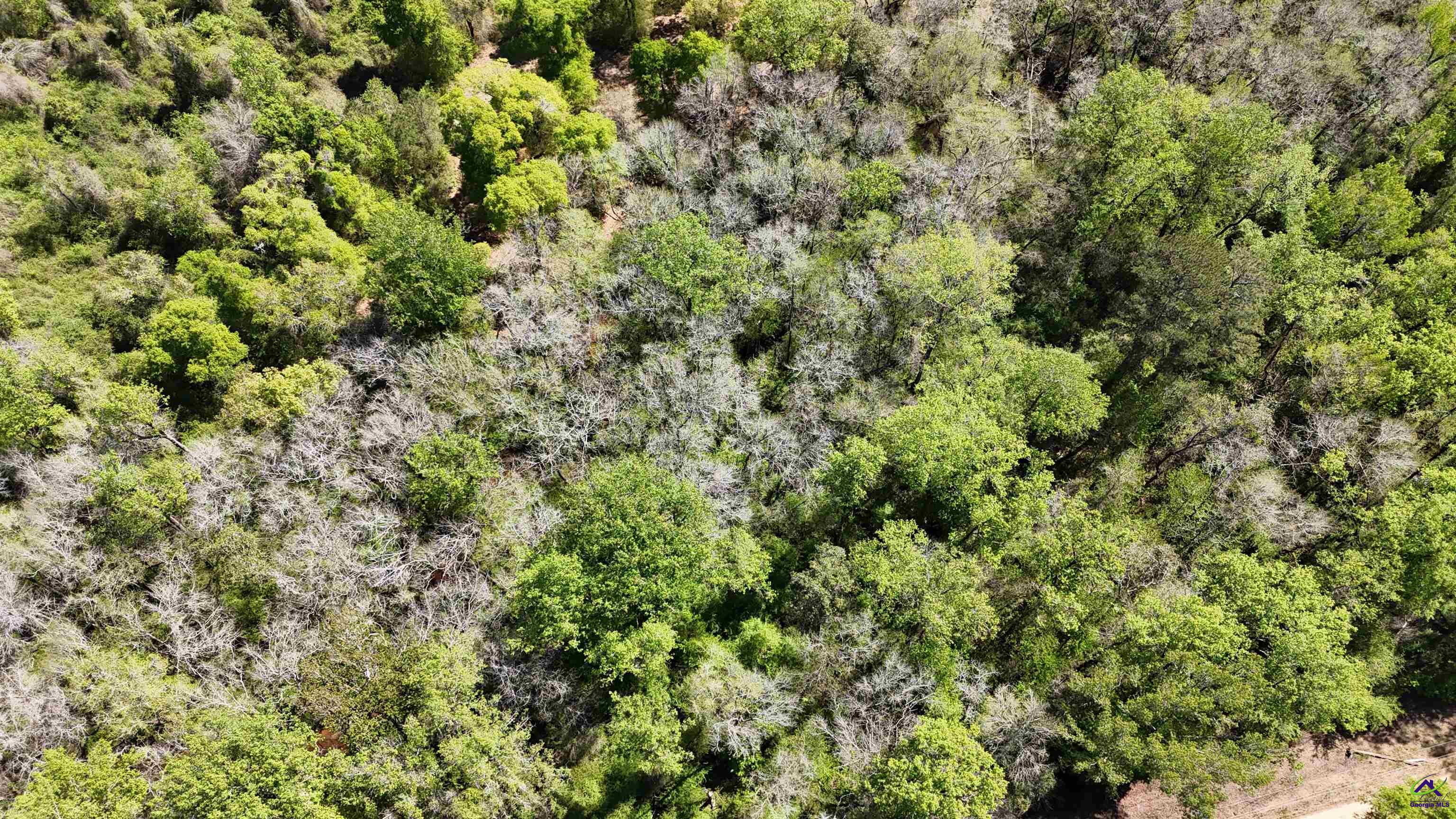 941 Country Club Road