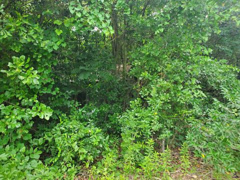 Highway 127/Farr Road Road Kathleen GA 31047