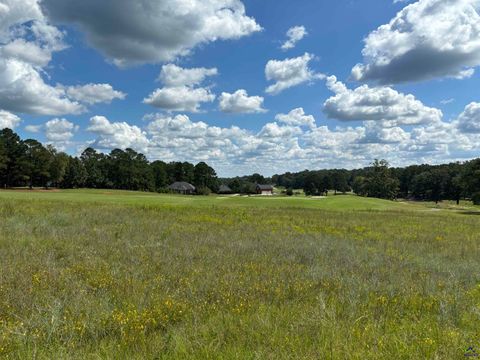 Lot 16 Camden Way Hawkinsville GA 31036
