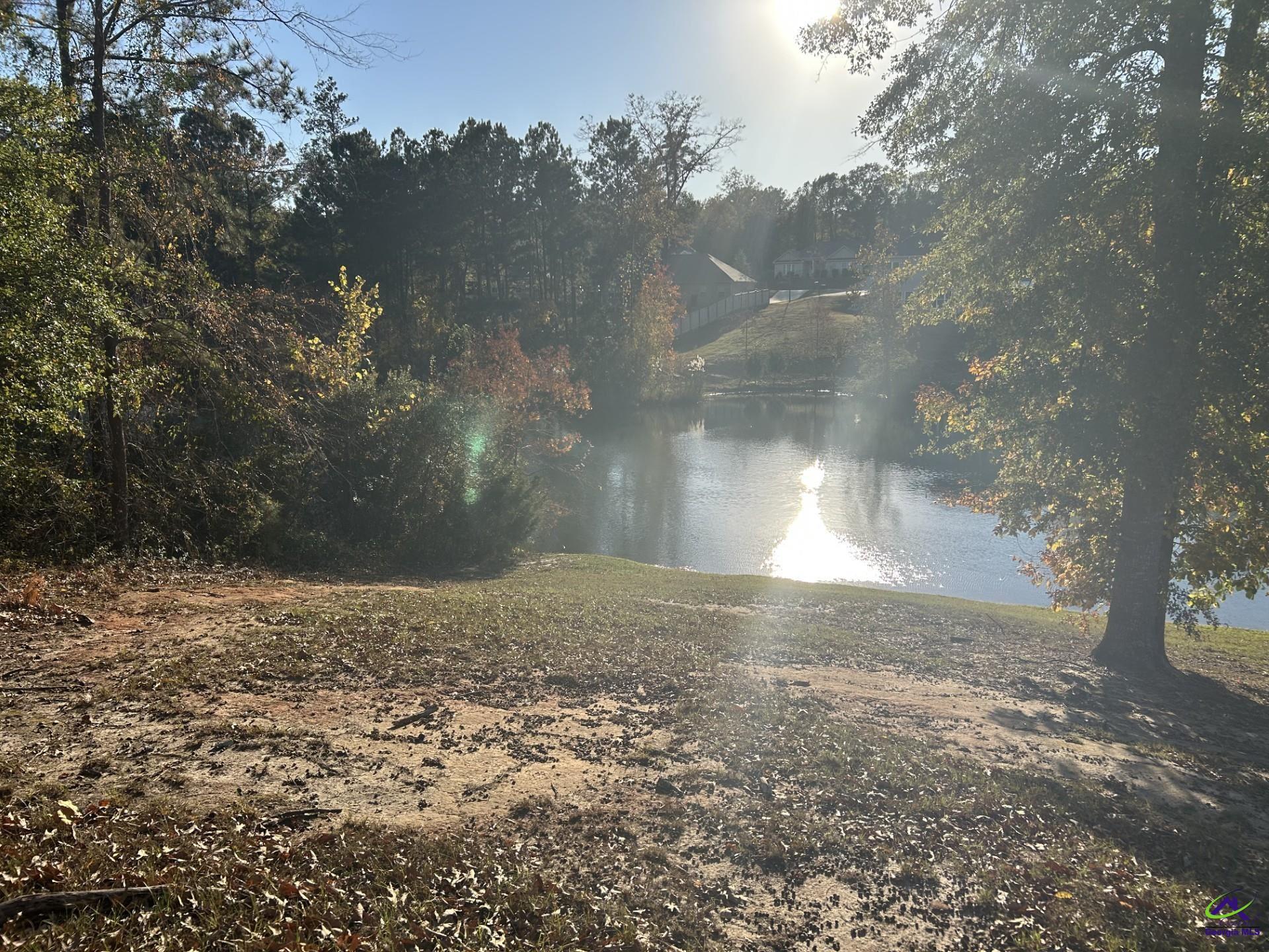 407 Arlington Falls Court