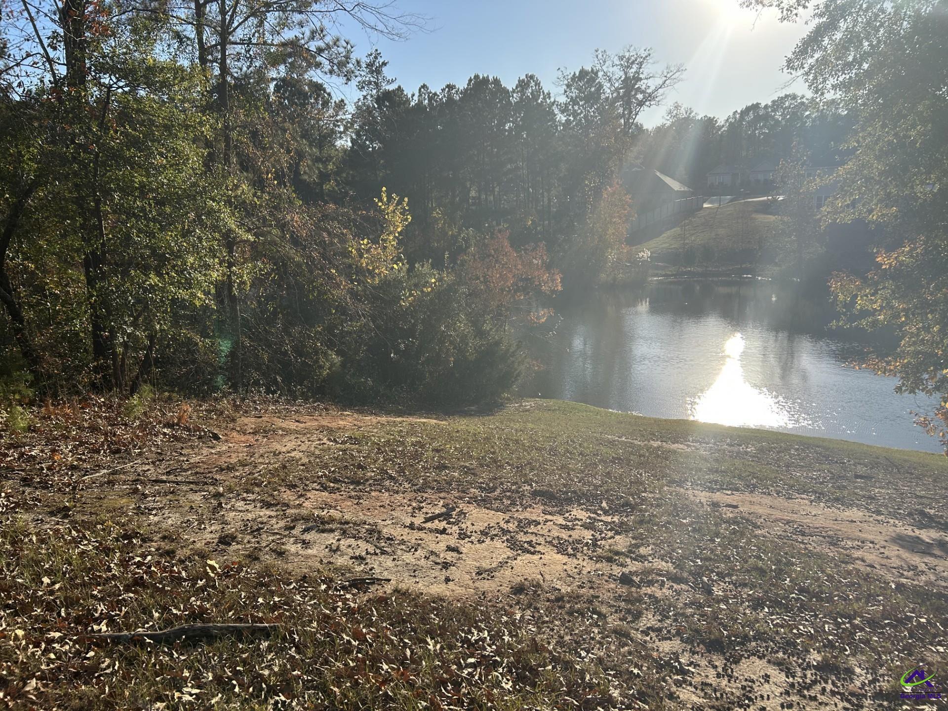 407 Arlington Falls Court