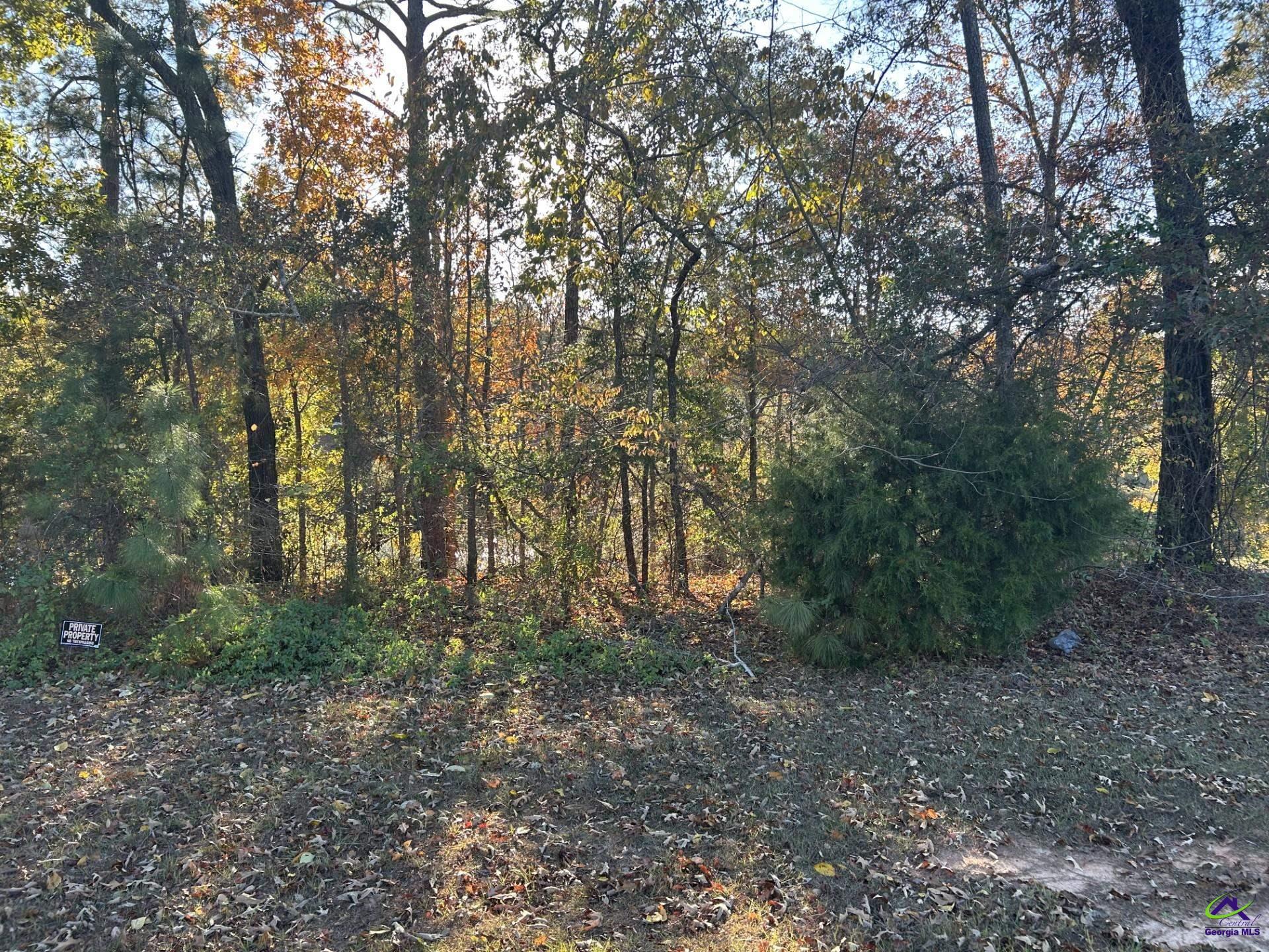 407 Arlington Falls Court