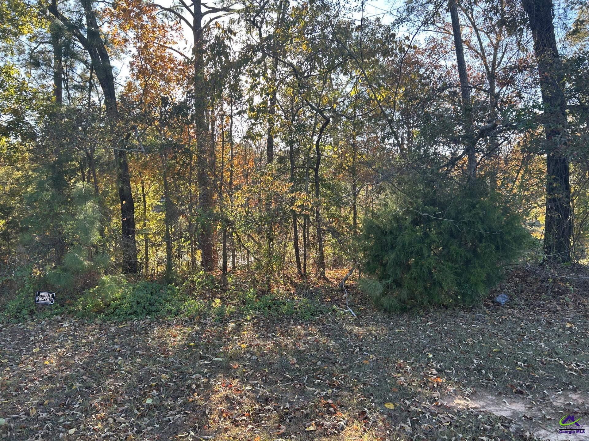 407 Arlington Falls Court