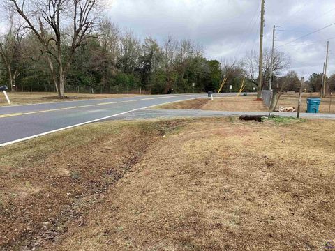 1598 N Taylor mills Roads Fort Valley GA 31030