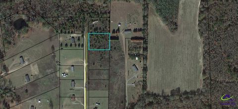 Lot 11 Sydney Lane Montezuma GA 31063