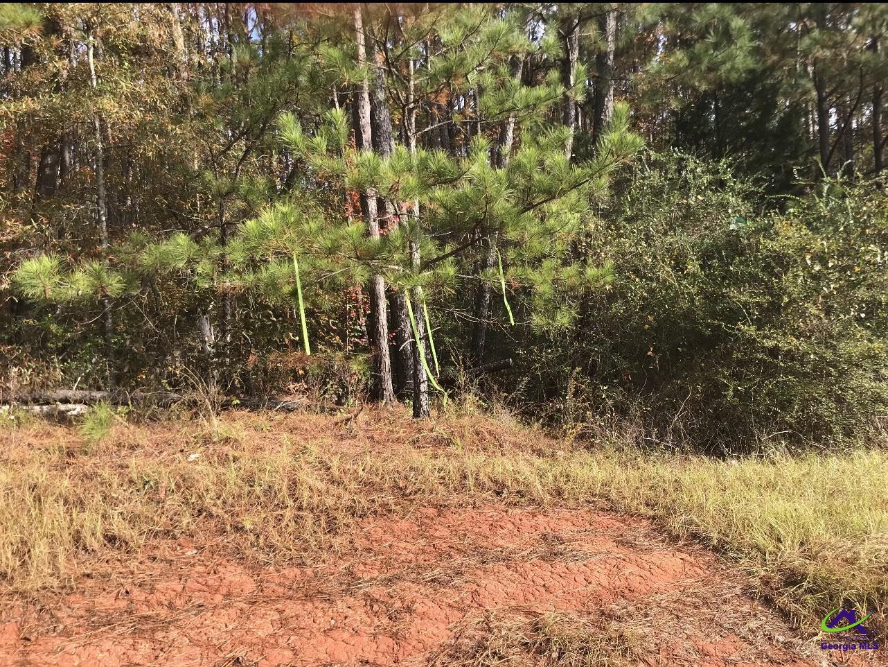 Tract-9 Lower Simmons Road
