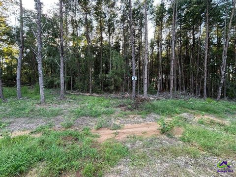 Lot 2 Trojan Way Byron GA 31008