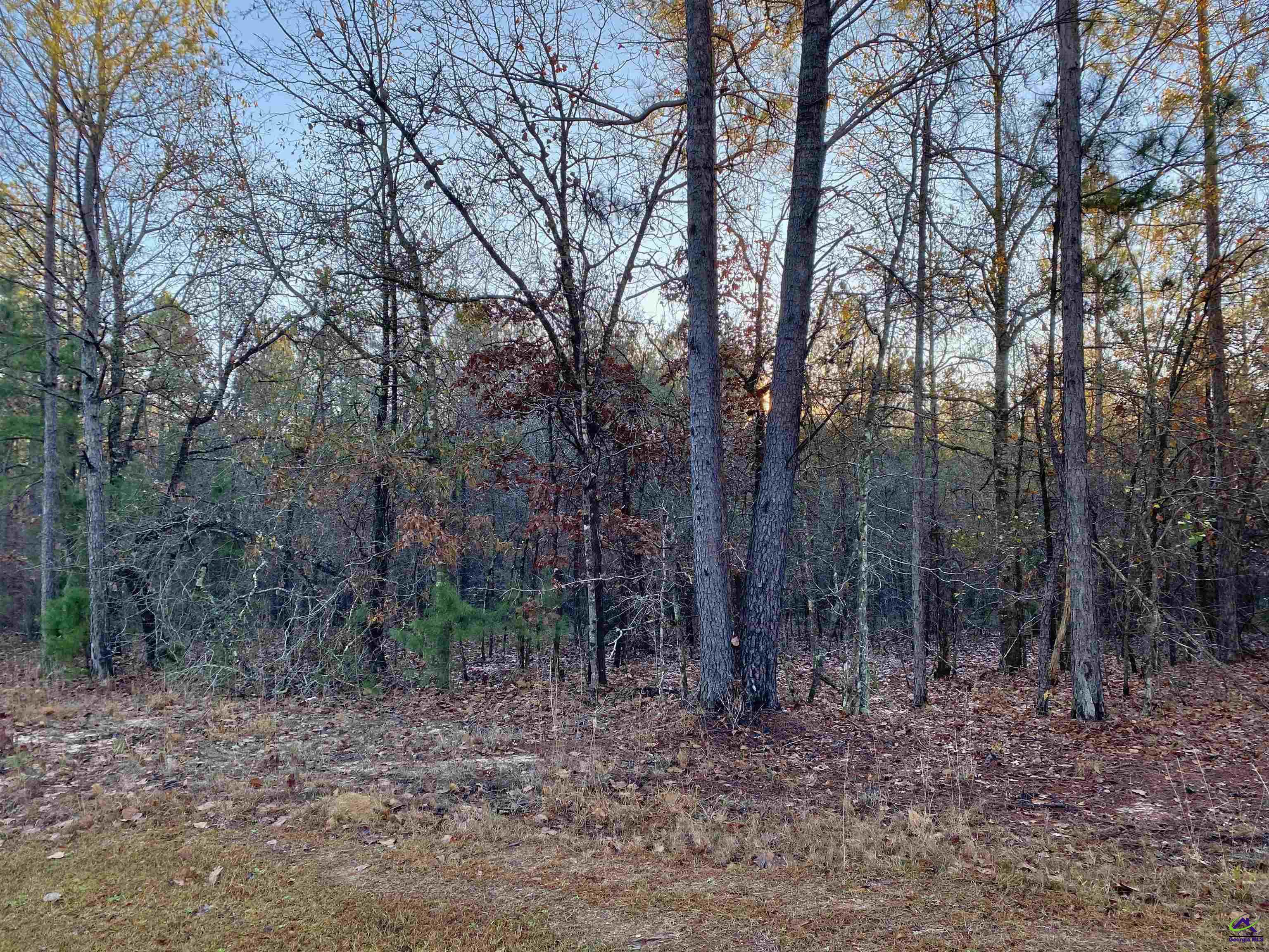 Oak Ridge Drive